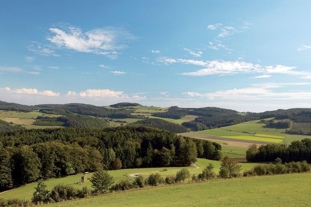 Wellnesshotel Buergerstuben Willingen  Bagian luar foto